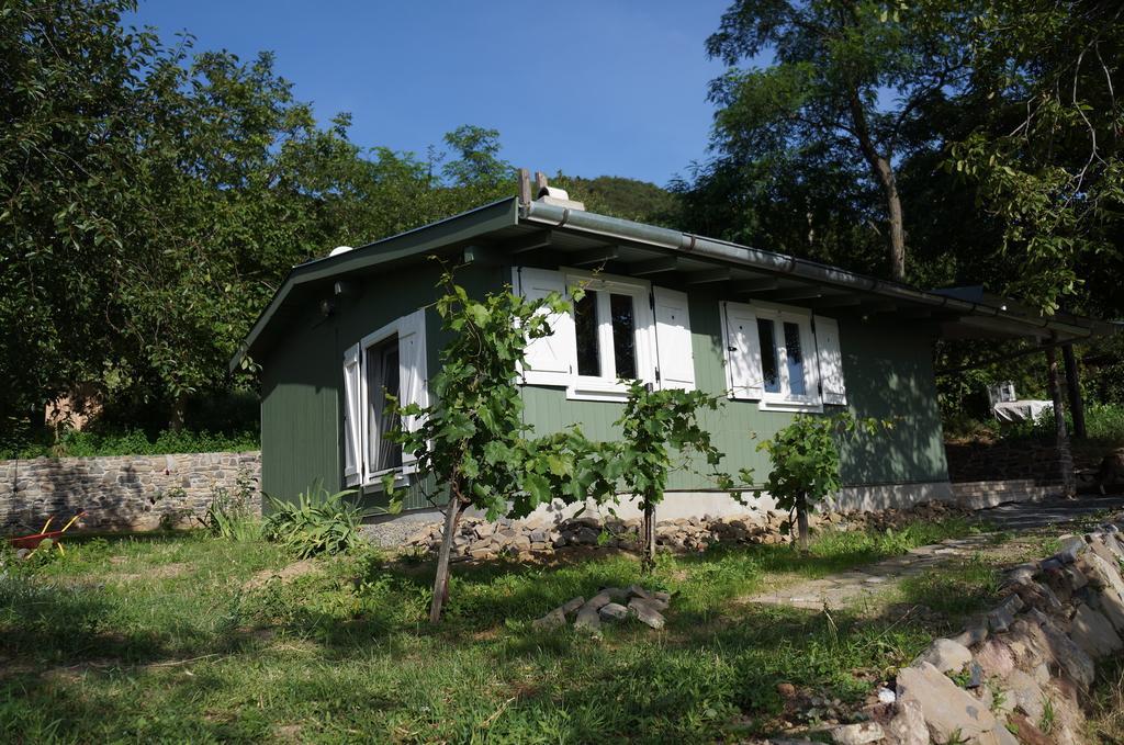 Badacsony Vendeghaz Villa Badacsonytördemic Стая снимка